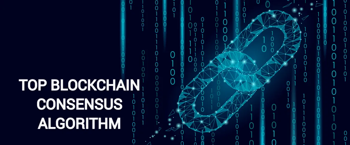 Blockchain Consensus Algorithms