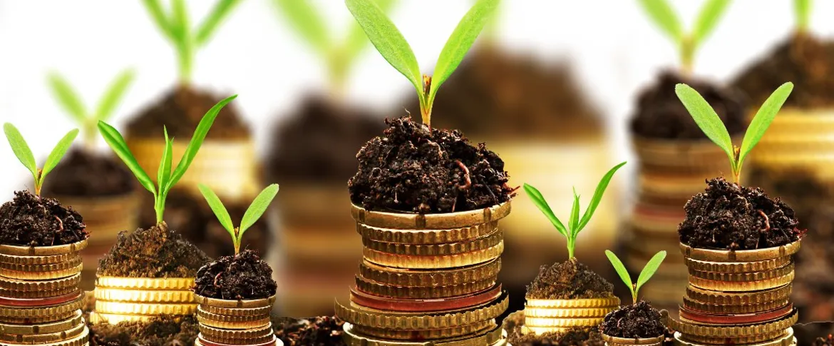 Safe investments up to 30 years - a few tips